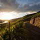Weinberge an der Mosel bei Sonnenuntergang