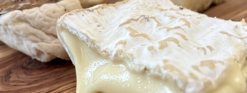 Käse II